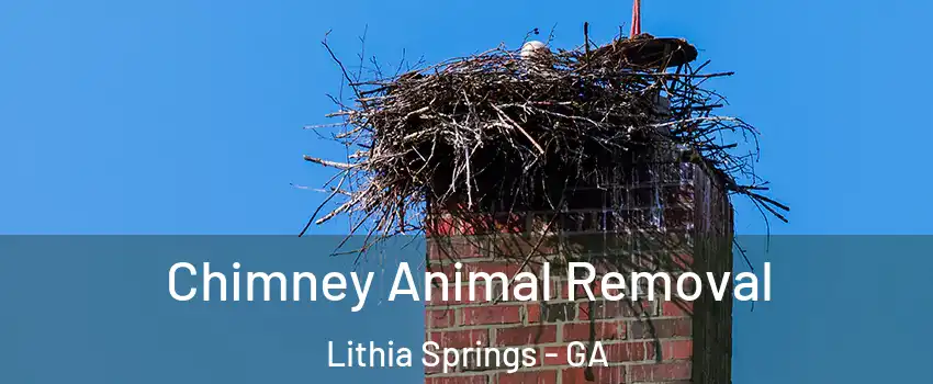 Chimney Animal Removal Lithia Springs - GA