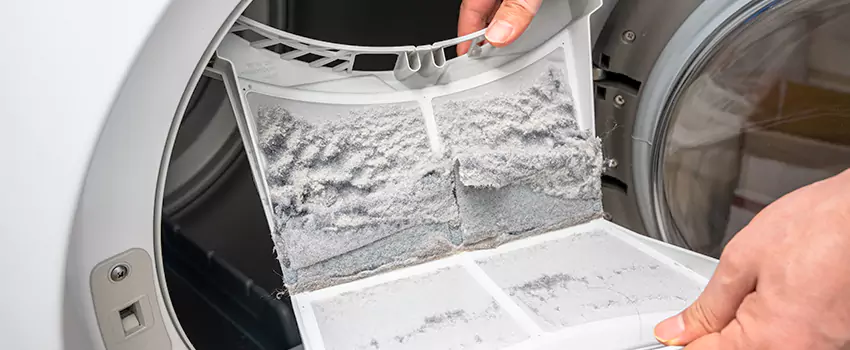 Best Dryer Lint Removal Company in Lithia Springs, Georgia