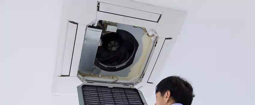 Benefits of Professional Air Duct Cleaning in Lithia Springs, Georgia